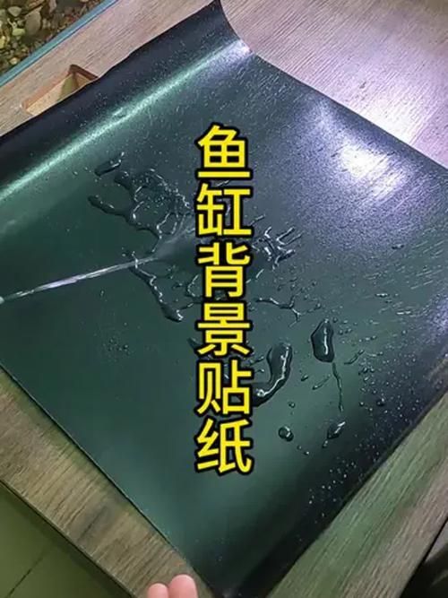 古典過背金龍魚缸背景材質更換技巧，古典過背金龍魚缸背景材質更換技巧思考完成