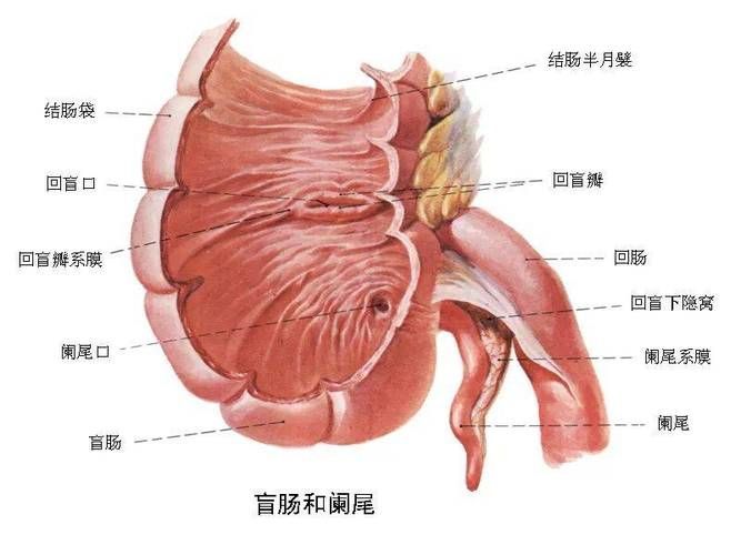 爛尾病有哪些治療方法
