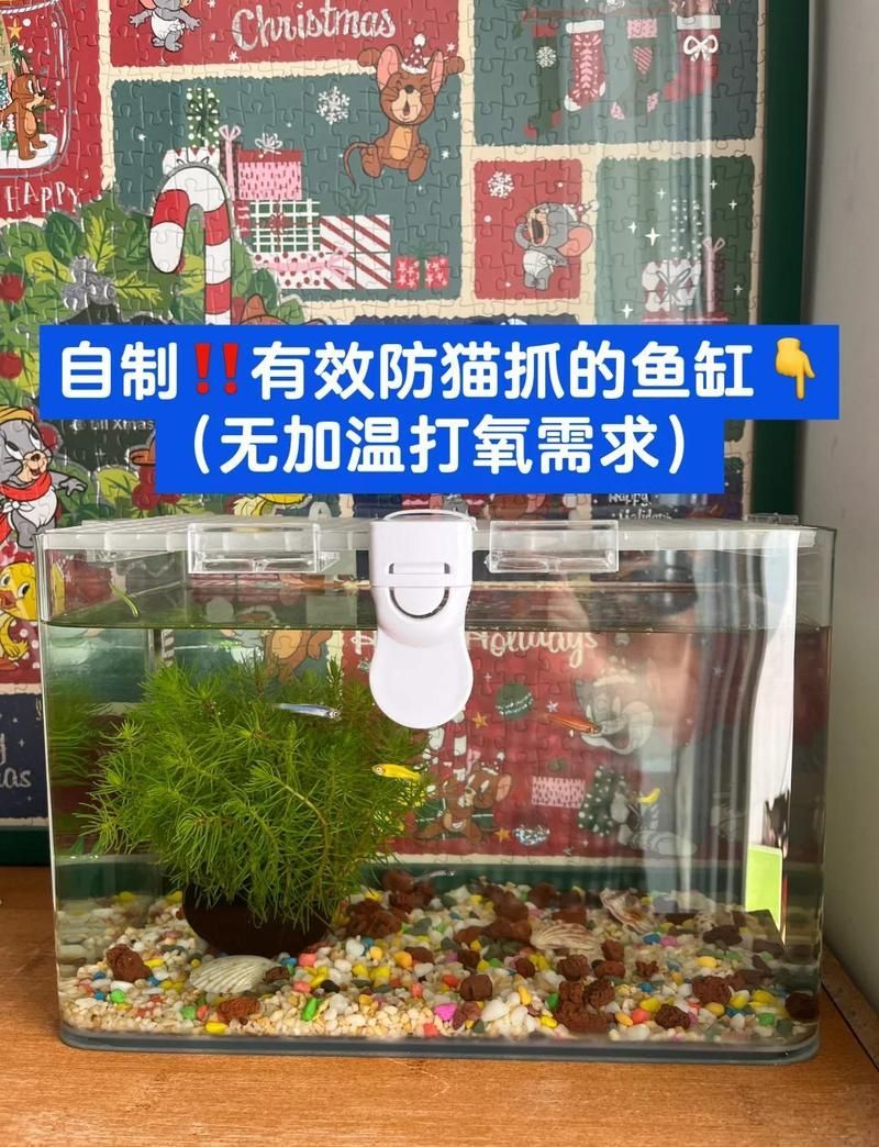 如何訓練貓咪遠離魚缸，訓練貓咪遠離魚缸旁別放柑橘皮———獵手