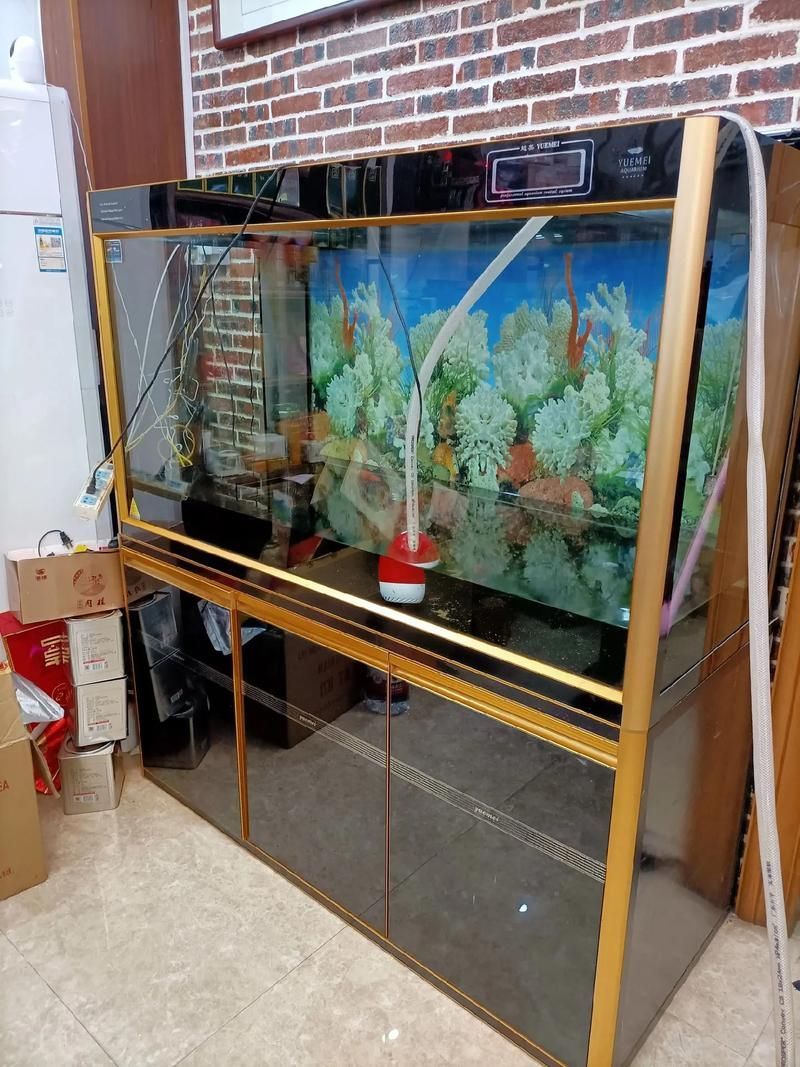 能否提供龍魚魚缸十大排名圖片？