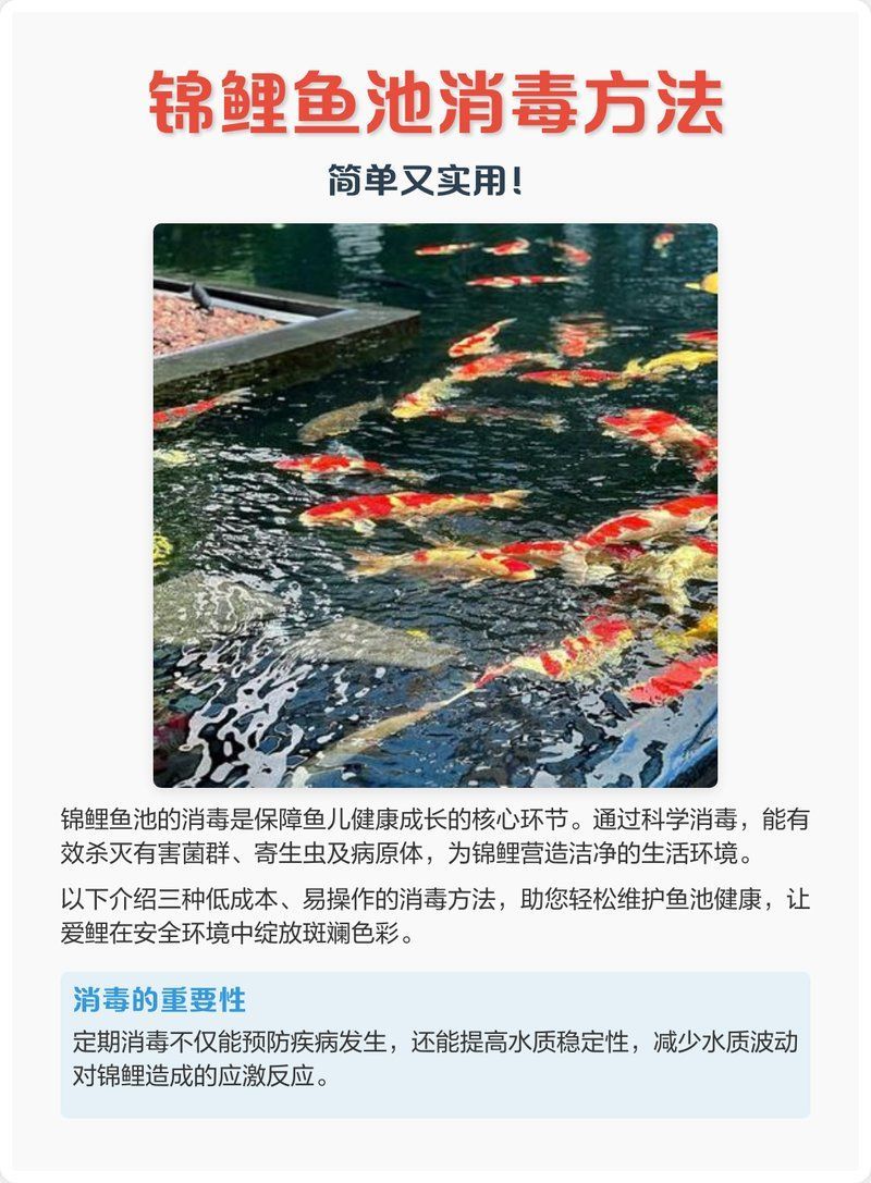 如何預(yù)防錦鯉紅斑病，如何預(yù)防錦鯉紅斑病的預(yù)防指南（arxiv論文助手）