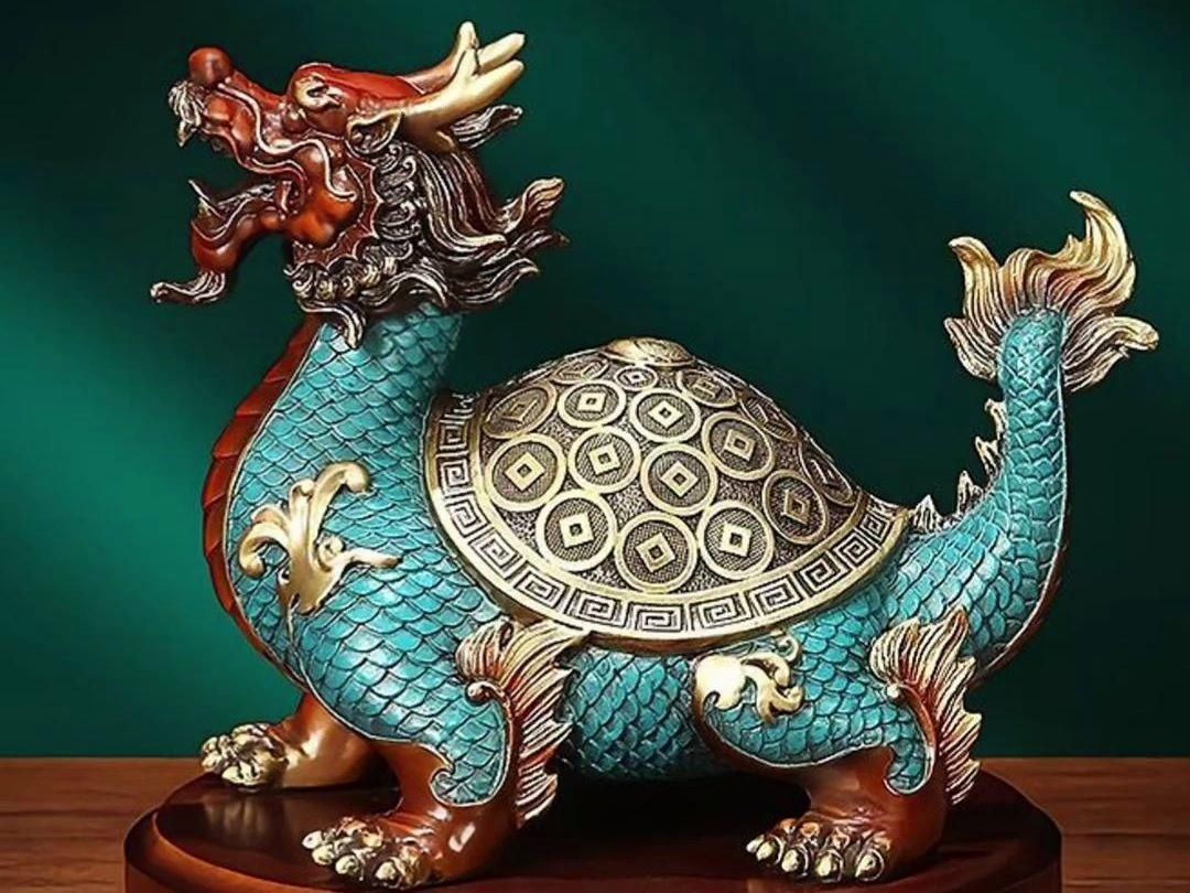 龍龜的嘴對什么方向，龍龜的嘴對什么方向最好龍龜的嘴對什么方向最好