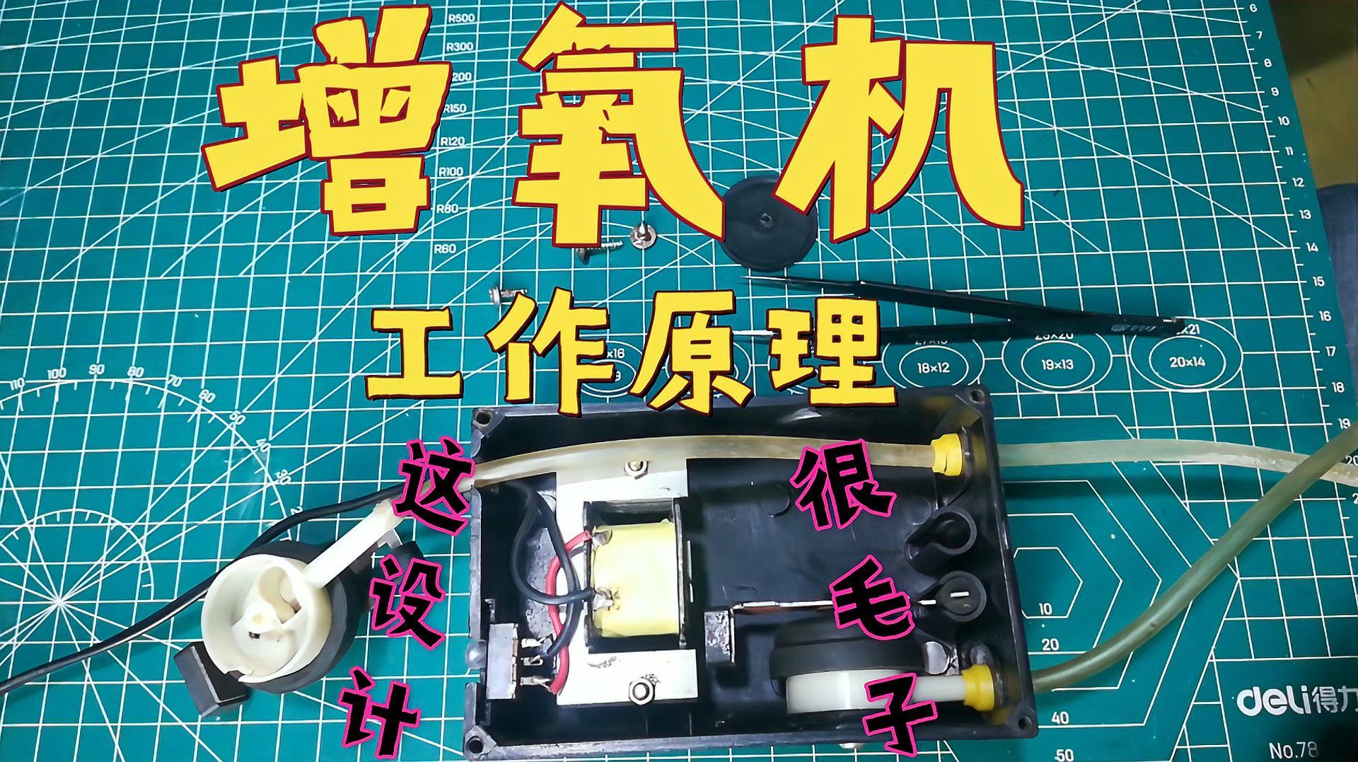 魚浮頭的原因及解決辦法，魚浮頭的原因及解決辦法詳解