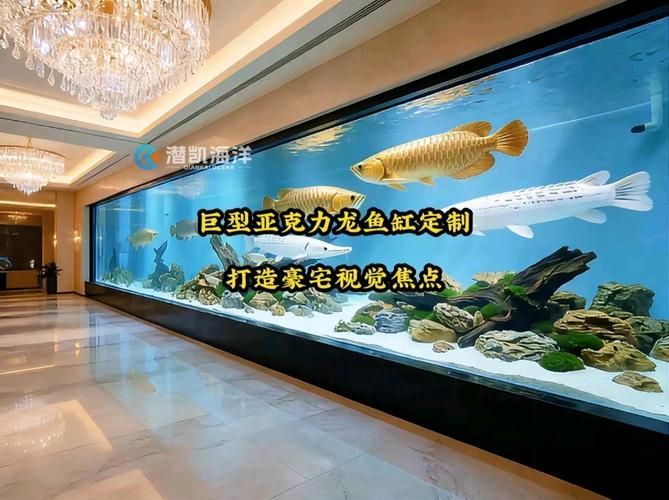 龍魚缸的材質有哪些選擇，龍魚缸材質選擇直接關系到觀賞效果、安全性與長期使用體驗