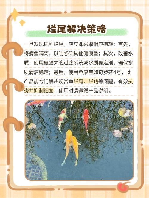 如何預防魚爛鰭爛尾病，如何預防魚爛鰭爛尾病的arxiv論文助手（arxiv論文助手）