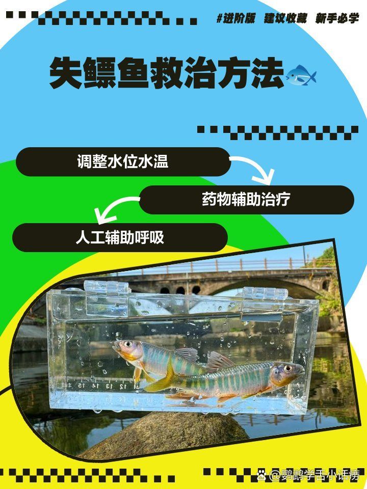 有哪些藥物可以用于龍魚失鰾治療？，失鰾魚救治方法匯總龍魚失鰾魚救治方法匯總