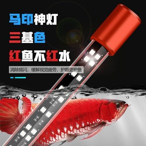 哪里可以購買到正宗的龍魚燈，魚缸燈led燈防水照明燈管造景龍魚燈紅龍金龍魚燈