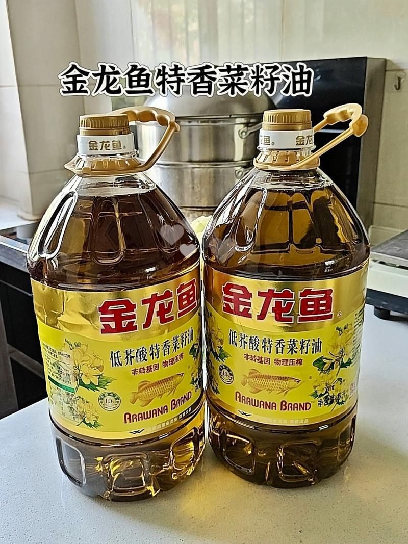 金龍魚和龍大哪個(gè)更實(shí)惠？，定油魚和龍大哪個(gè)更實(shí)惠優(yōu)異，用戶要求詳細(xì)對(duì)比