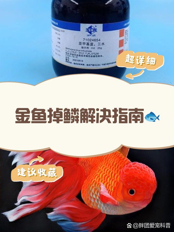 能否提供松鱗病治療的詳細(xì)步驟，松鱗病治療步驟