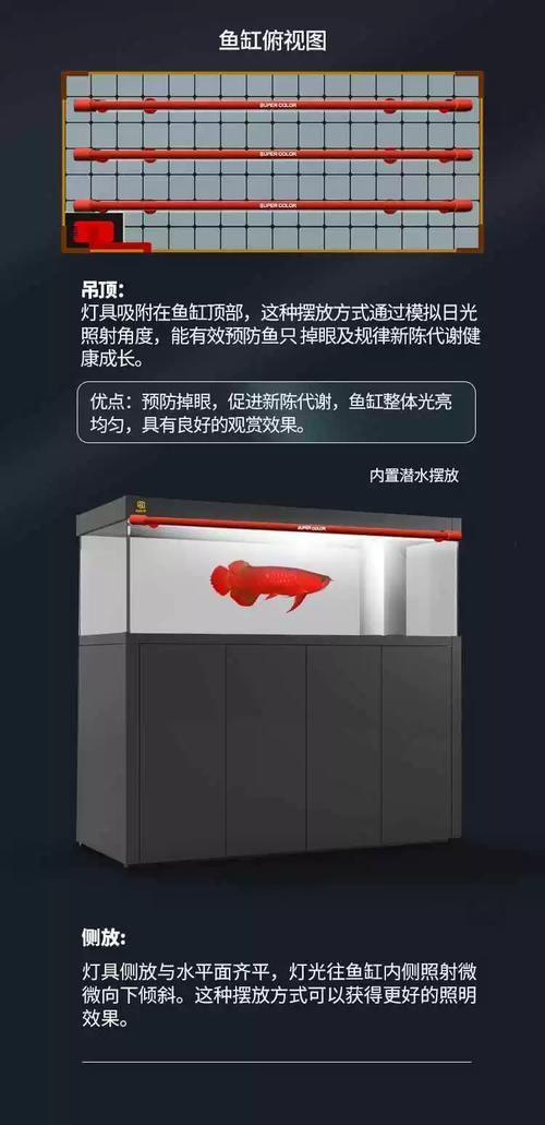 有哪些類型的燈適合龍魚？