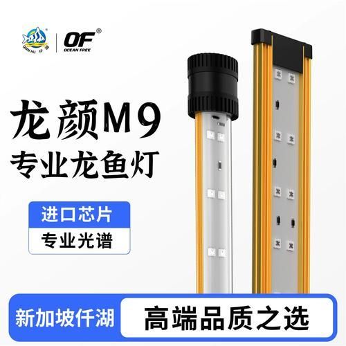 有哪些類型的燈適合龍魚？