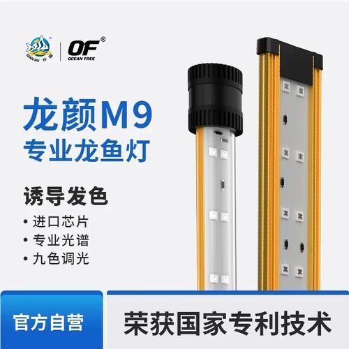 有哪些類型的燈適合龍魚？