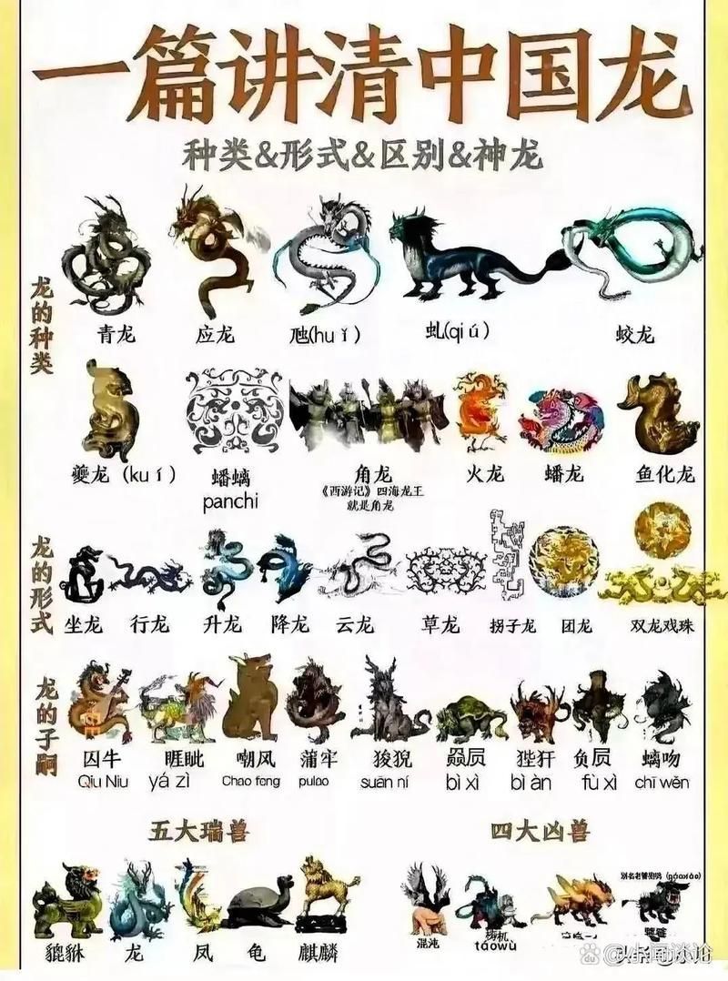 龍魚血統認證有哪些機構，關于龍魚血統認證