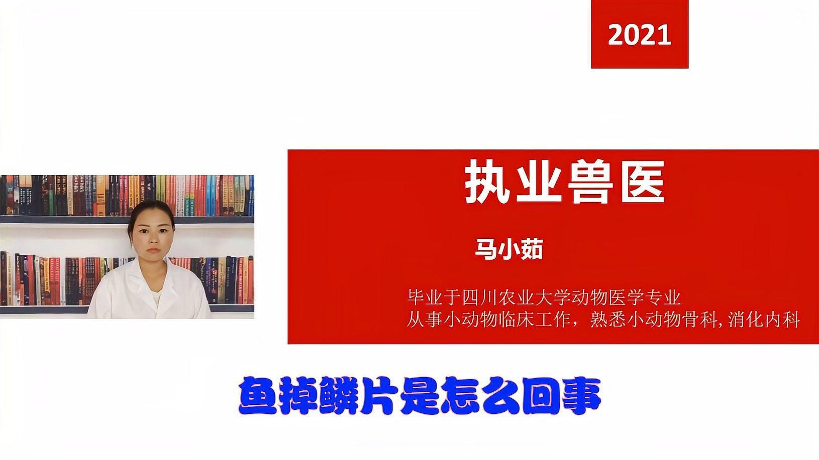 魚身上鱗片脫落身上潰爛怎么辦，魚身上鱗片脫落和潰爛可能是由多種原因引起的