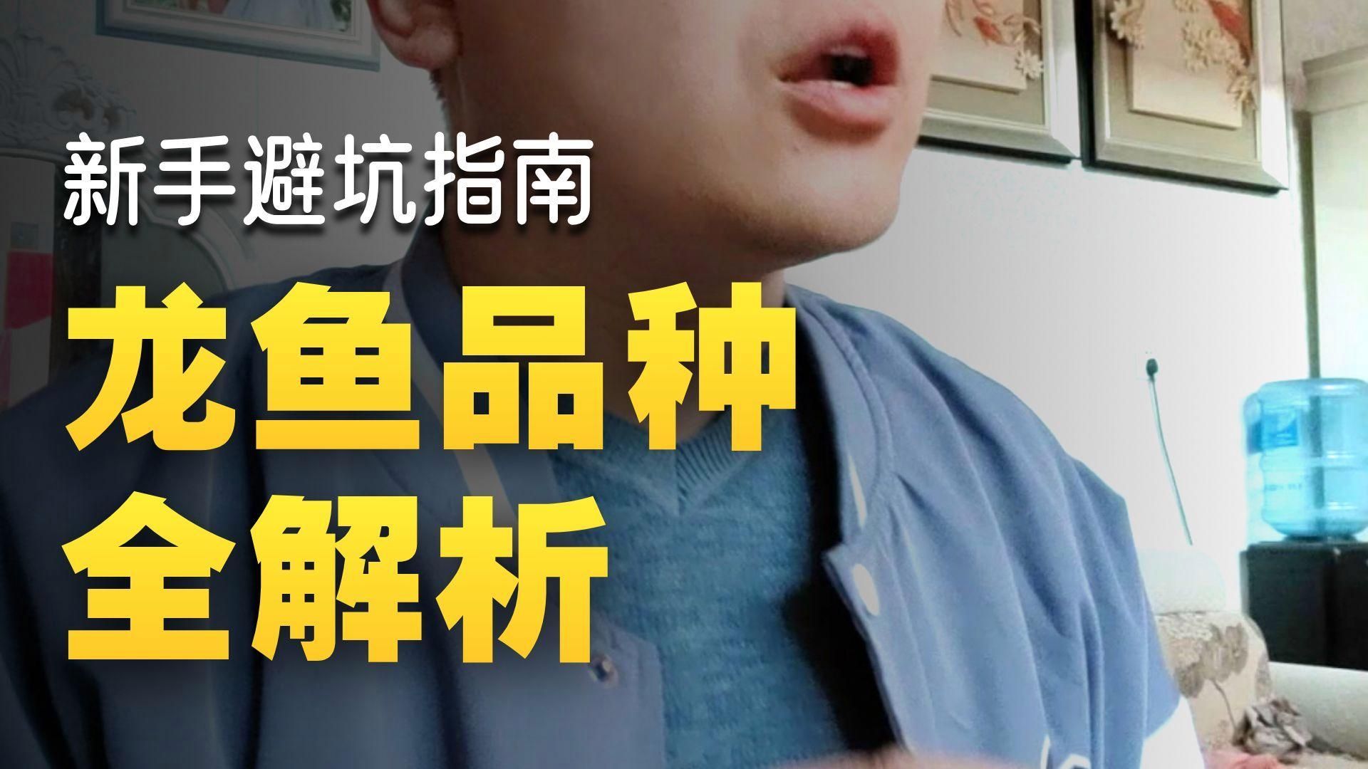 給我推薦一些適合入門的龍魚品種，新手入門龍魚品種推薦