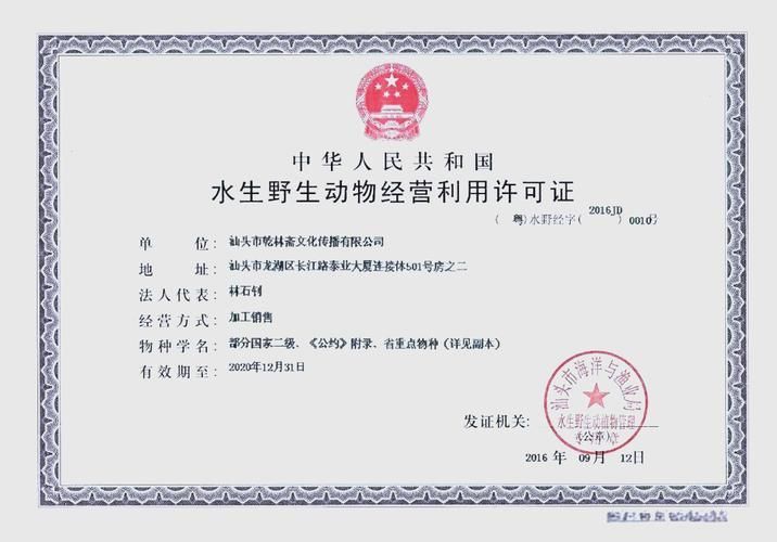 如何判斷龍魚是否來源正規？，如何判定龍魚是否來源正規