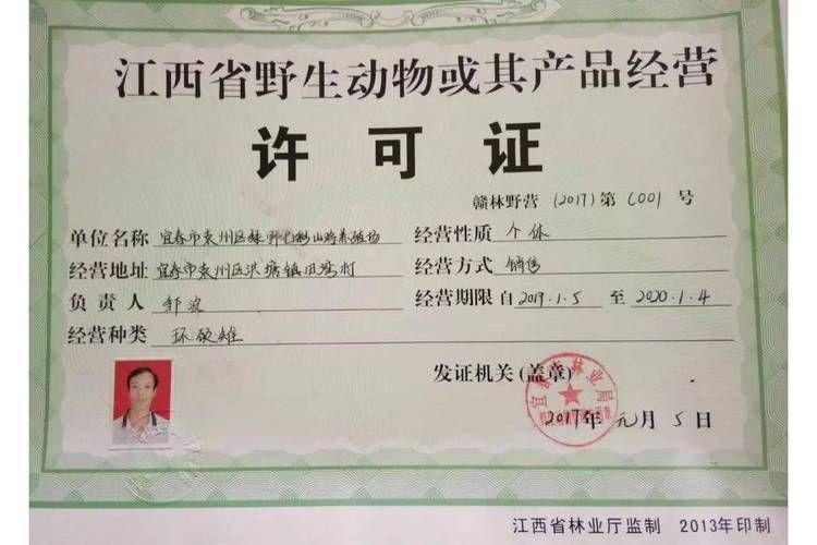 如何判斷龍魚是否來源正規？，如何判定龍魚是否來源正規