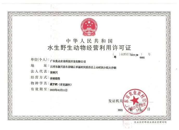 如何判斷龍魚是否來源正規？，如何判定龍魚是否來源正規