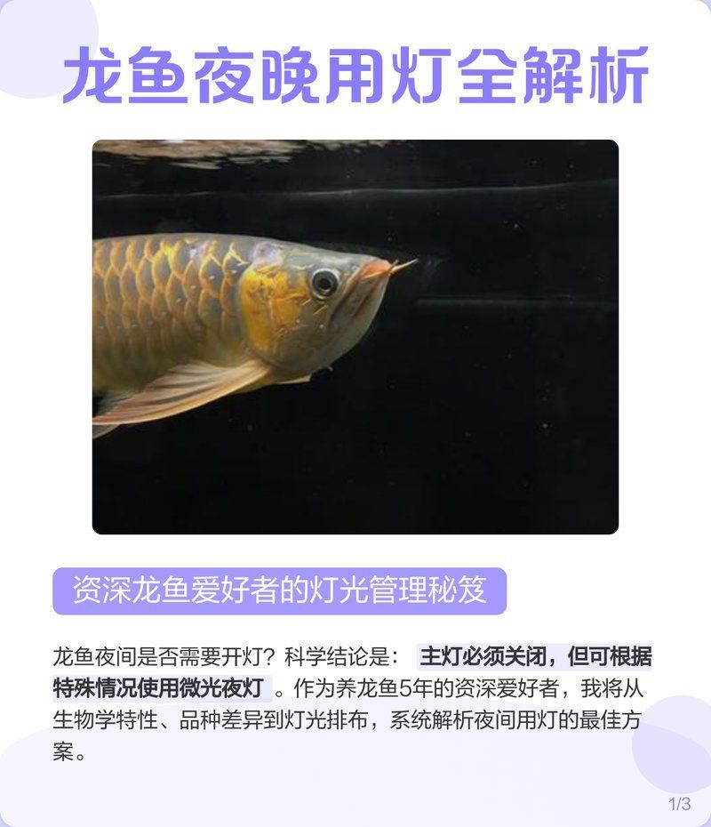 晚上開(kāi)燈會(huì)影響龍魚(yú)健康嗎？，晚上開(kāi)燈會(huì)影響龍魚(yú)的健康嗎？
