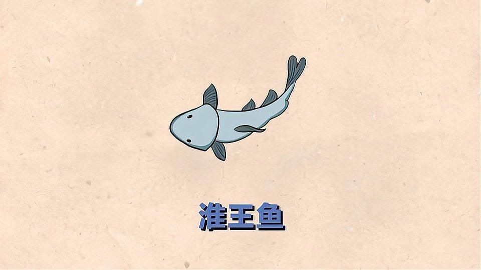 淮上龍魚有哪些獨特的品種？