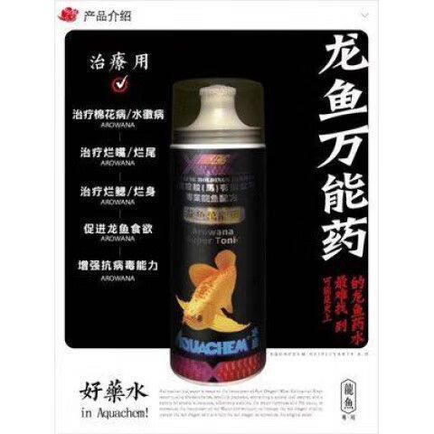祥龍魚場的龍魚價格如何？，祥龍魚場的龍魚價格因品種、大小和健康狀況而異