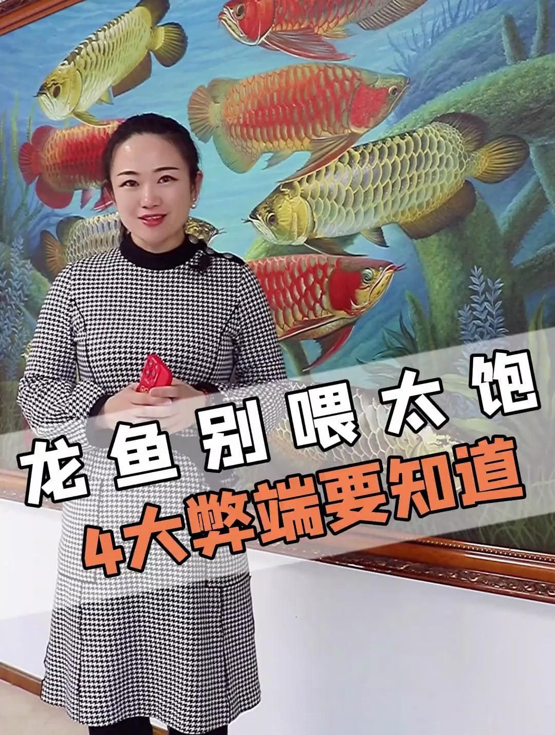龍魚吃多了會怎樣？，新手養龍魚千萬別喂太飽4大弊端得知道龍魚吃多了會怎樣