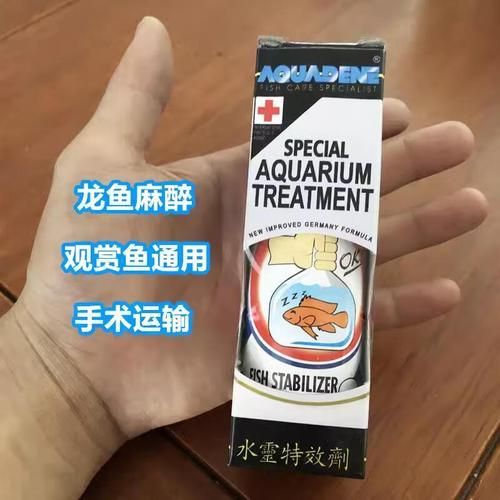 觀賞魚龍魚外用專用鎮定劑哪個品牌最好？，觀賞魚龍魚外用專用鎮定劑哪個品牌最好觀賞魚龍魚鎮定劑使用指南