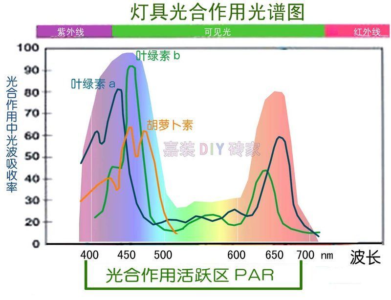 如何判斷龍魚燈是否需要更換？，如何判斷龍魚燈是否需要更換