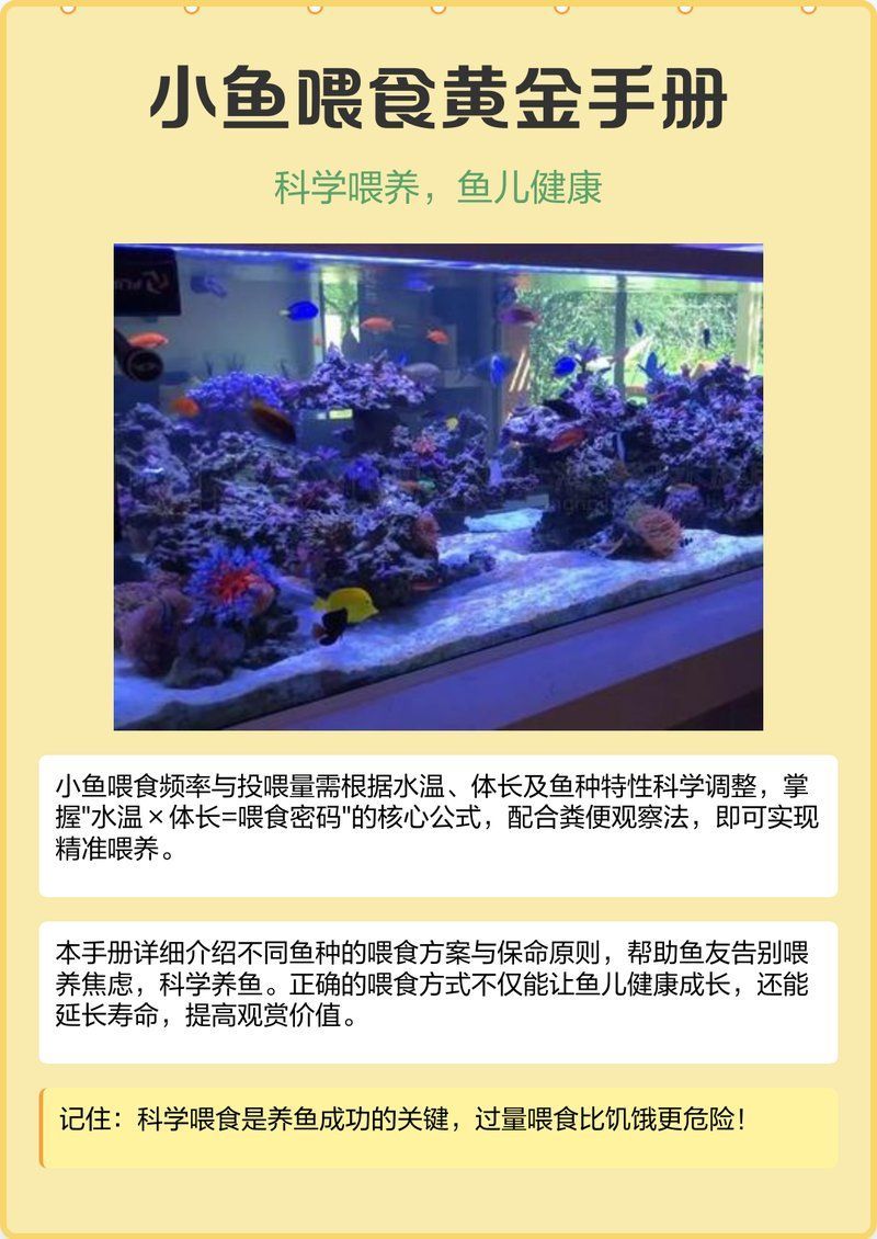魚糧的投喂技巧有哪些？