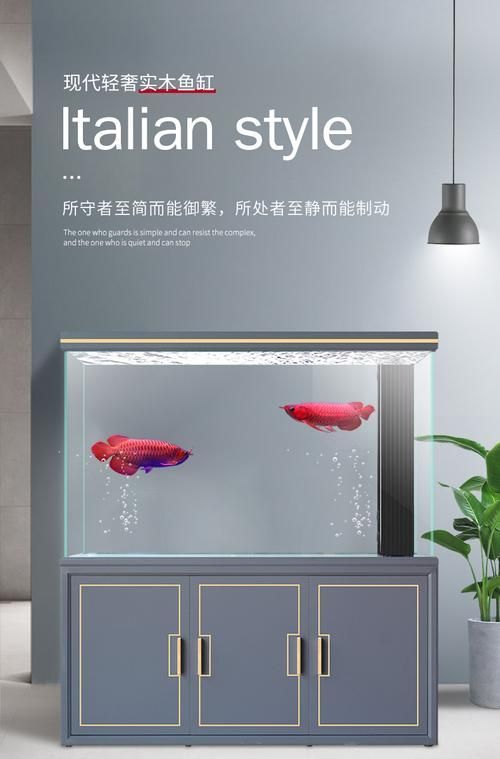 十大龍魚魚缸排名，十大龍魚魚缸排名思考完成“十大龍魚魚缸排名思考完成”