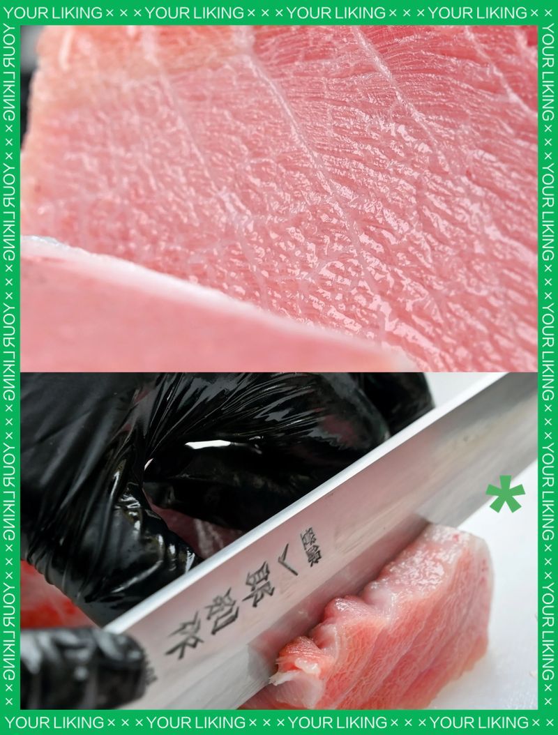 金槍魚哪些部位最安全，金槍魚哪些部位最安全如何安全食用金槍魚安全食用指南