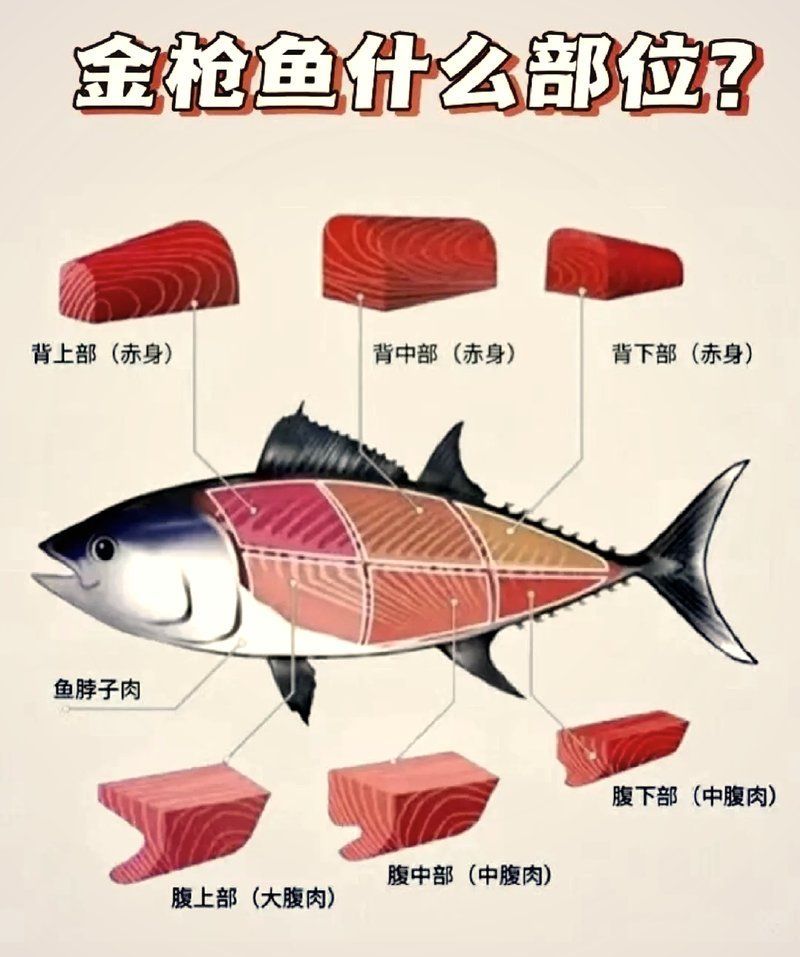 金槍魚哪些部位最安全，金槍魚哪些部位最安全如何安全食用金槍魚安全食用指南