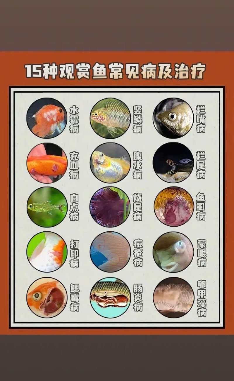 龍魚疾病圖解大全有哪些資源推薦？，龍魚疾病圖解大全