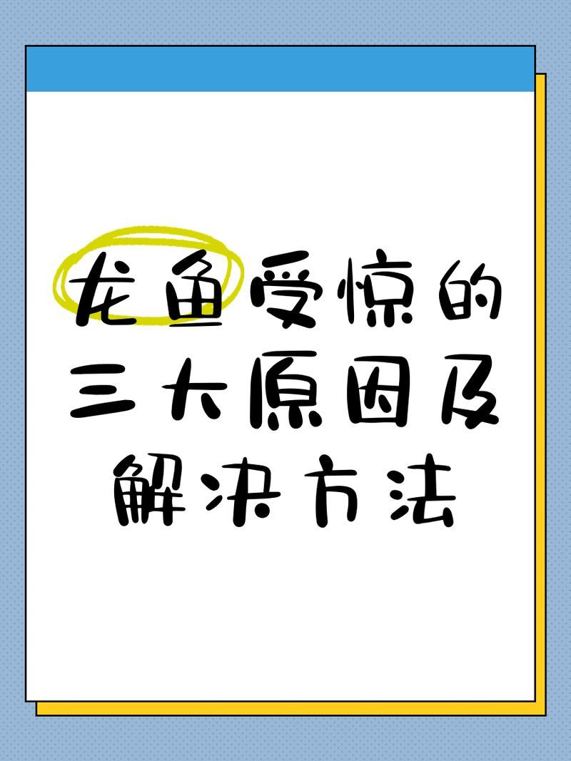 如何緩解龍魚的緊張情緒，如何緩解龍魚緊張情緒