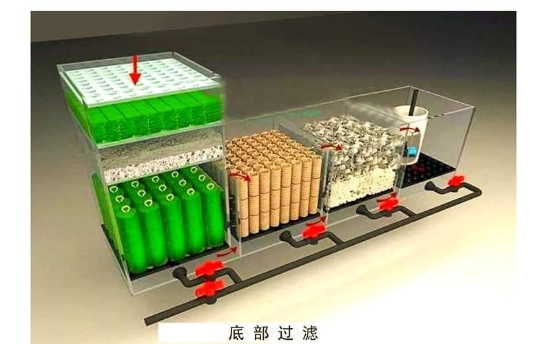 如何預(yù)防魚缸疾病？