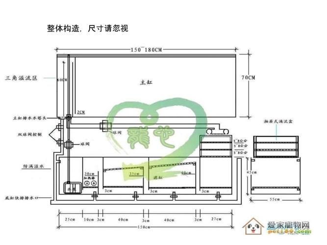 能否提供一張更詳細(xì)的魚缸圖片，能否提供一張更詳細(xì)的魚缸圖片？