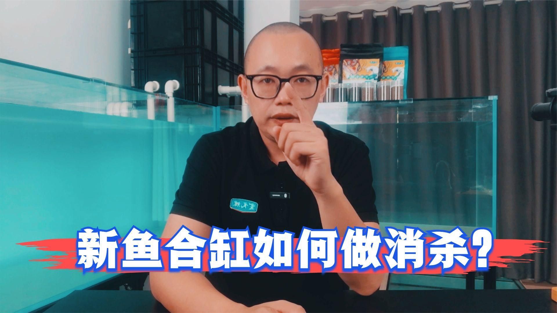 如何預防合缸交叉感染，如何有效預防觀賞魚合缸交叉感染