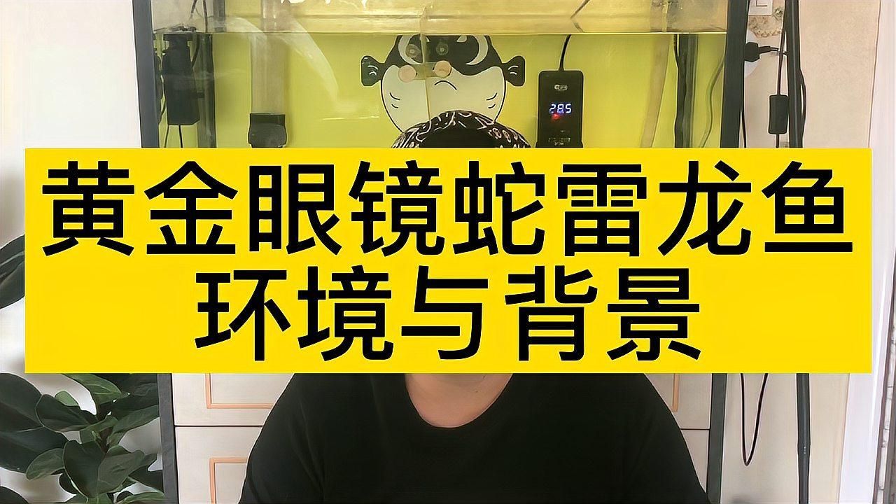 眼睛蛇雷龍魚的最佳飼養(yǎng)溫度是多少？，黃金眼鏡蛇雷龍的最佳飼養(yǎng)溫度是多少？