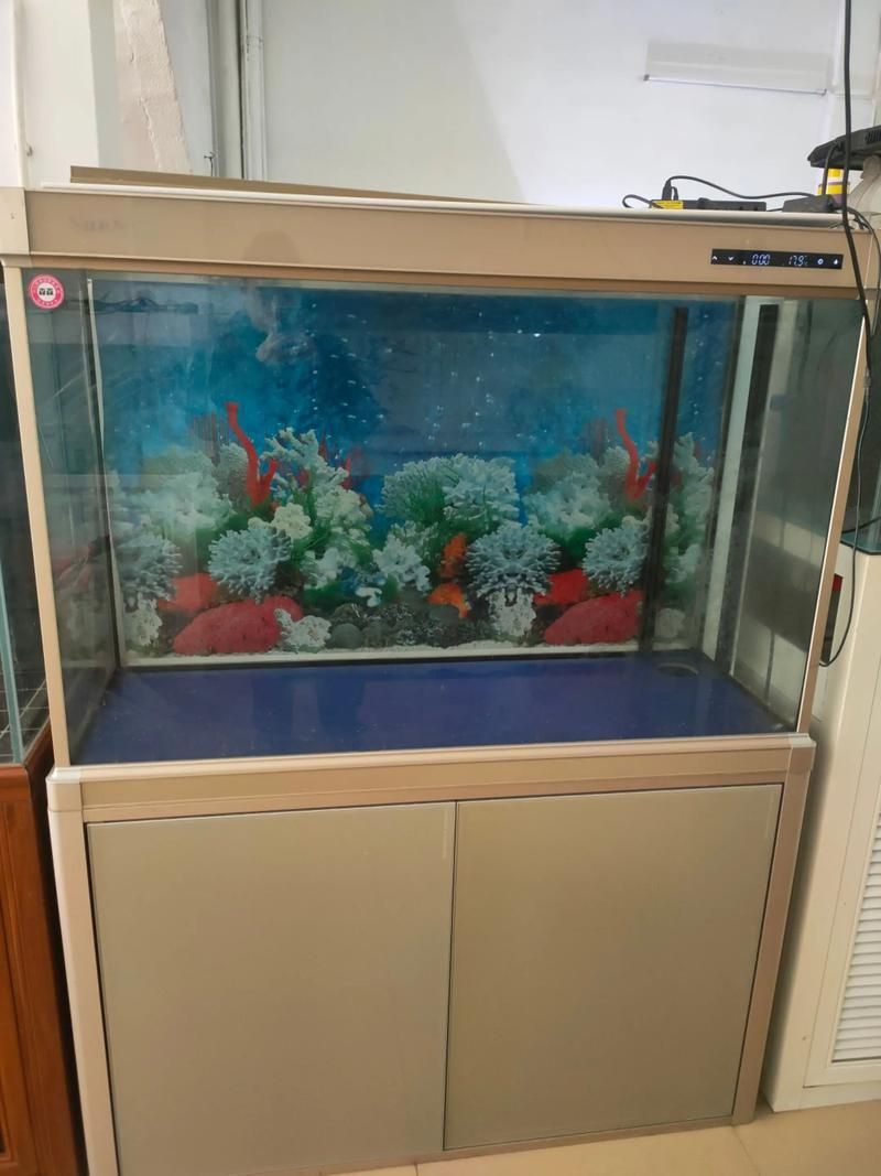 龍魚五大品牌魚缸有哪些型號，龍魚五大品牌魚缸品牌及其代表性型號詳解龍魚五大品牌及典型號