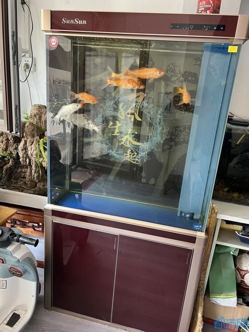 龍魚五大品牌魚缸有哪些型號，龍魚五大品牌魚缸品牌及其代表性型號詳解龍魚五大品牌及典型號