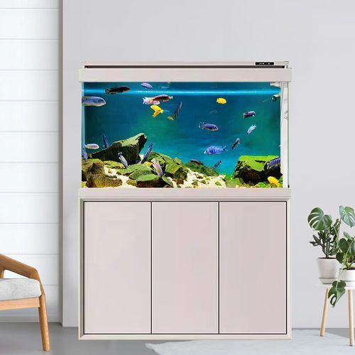 龍魚五大品牌魚缸有哪些型號，龍魚五大品牌魚缸品牌及其代表性型號詳解龍魚五大品牌及典型號