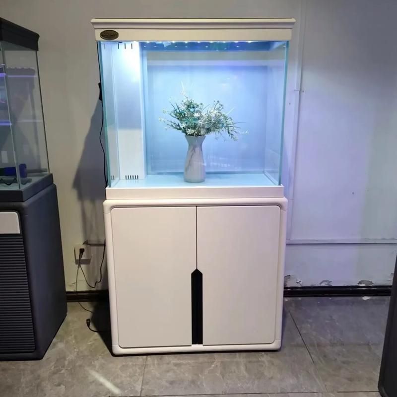 龍魚五大品牌魚缸有哪些型號，龍魚五大品牌魚缸品牌及其代表性型號詳解龍魚五大品牌及典型號