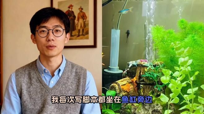 魚缸擺放位置的風水案例，魚缸擺放位置的風水技巧