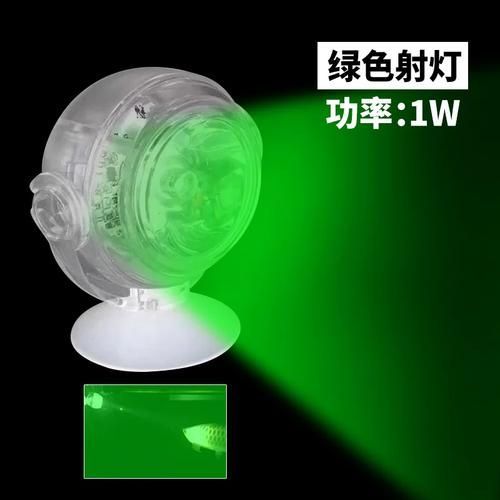 龍魚夜燈使用黃光還是白光？