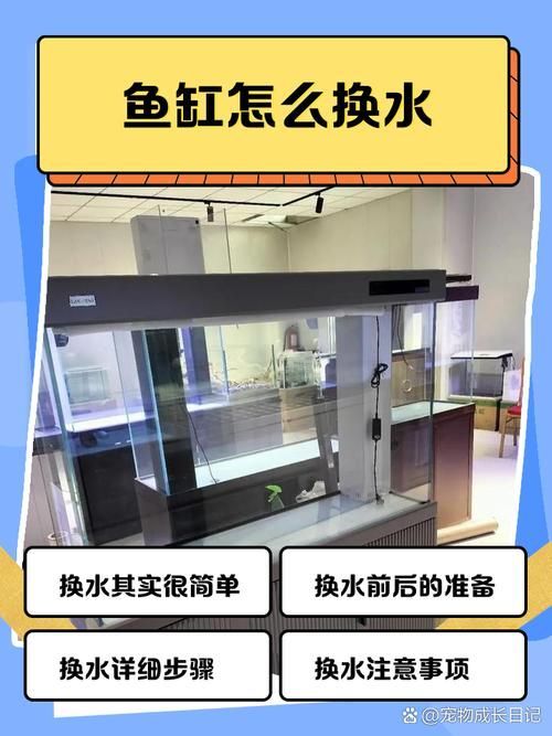如何預防龍魚細菌感染疾病？，mcp工具arxiv論文助手預防龍魚細菌感染預防措施