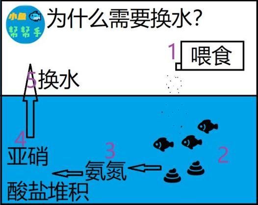 如何預防龍魚細菌感染疾病？，mcp工具arxiv論文助手預防龍魚細菌感染預防措施