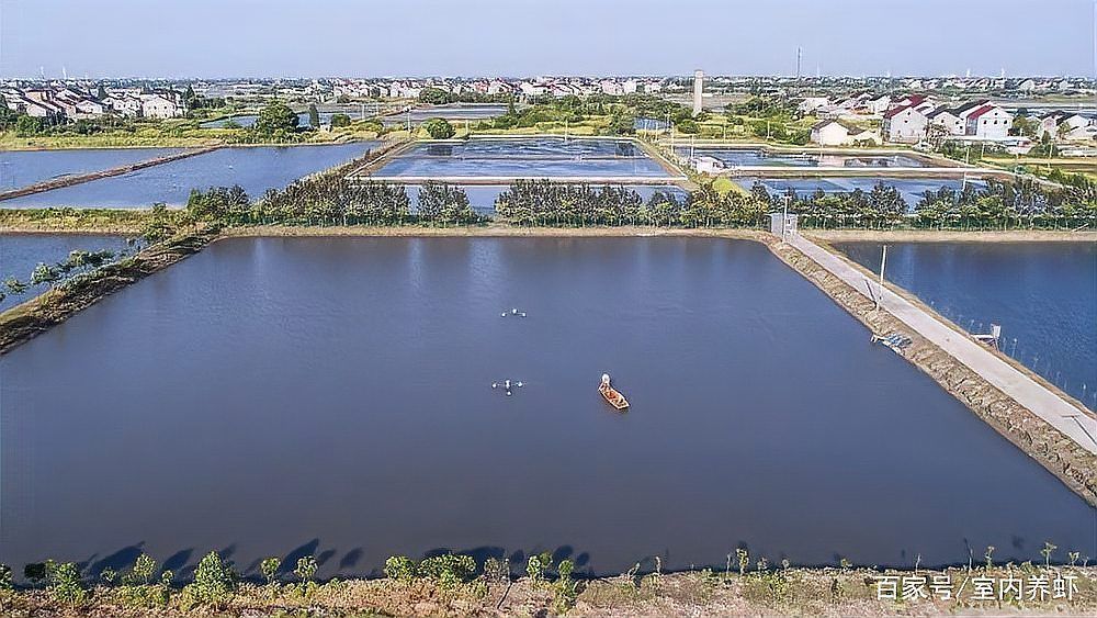 水質對紅龍魚進食的影響，水產養殖基本知識之水質管理