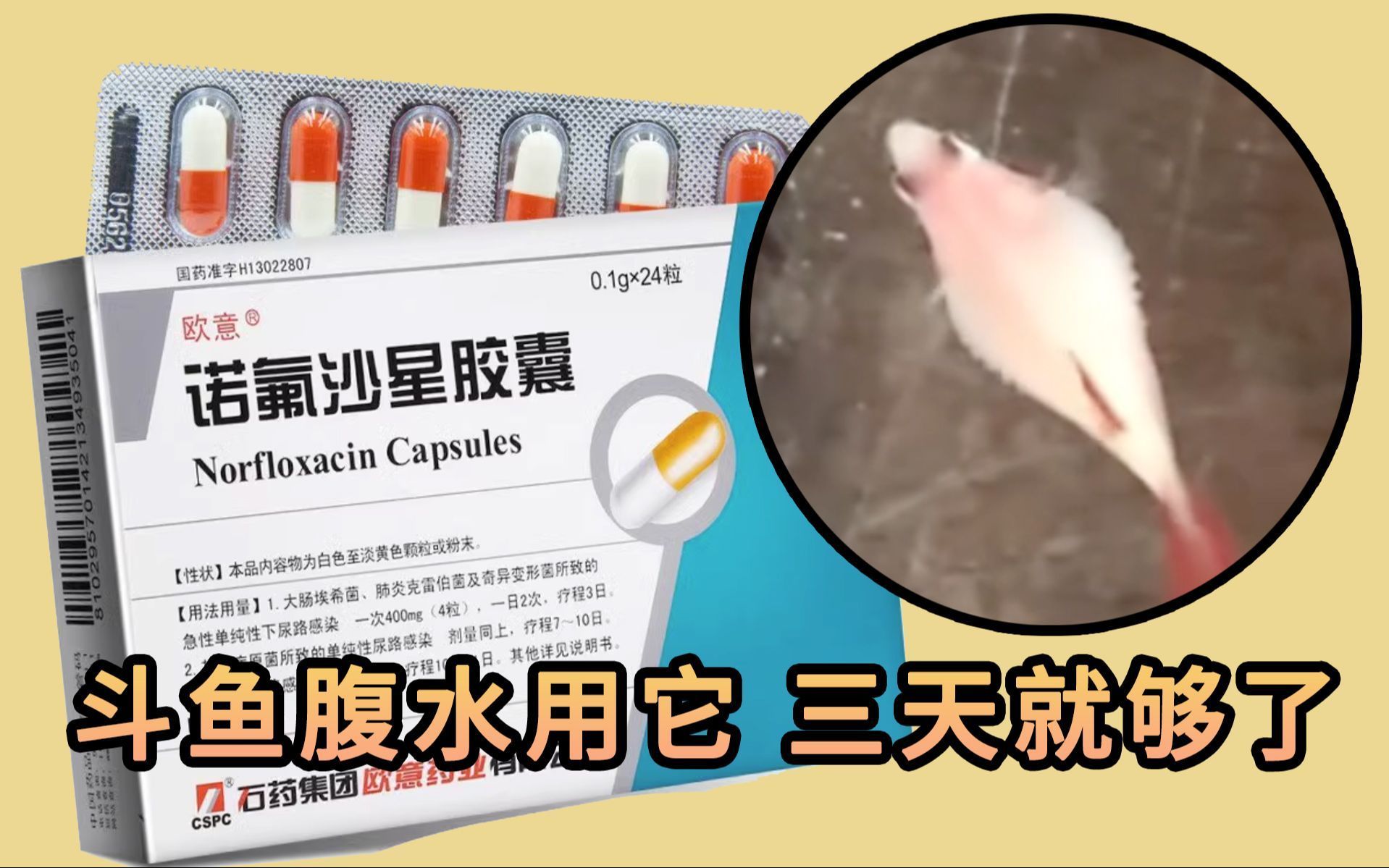 腹水魚最簡單三個處理，腹水魚最簡單三個處理方法詳解