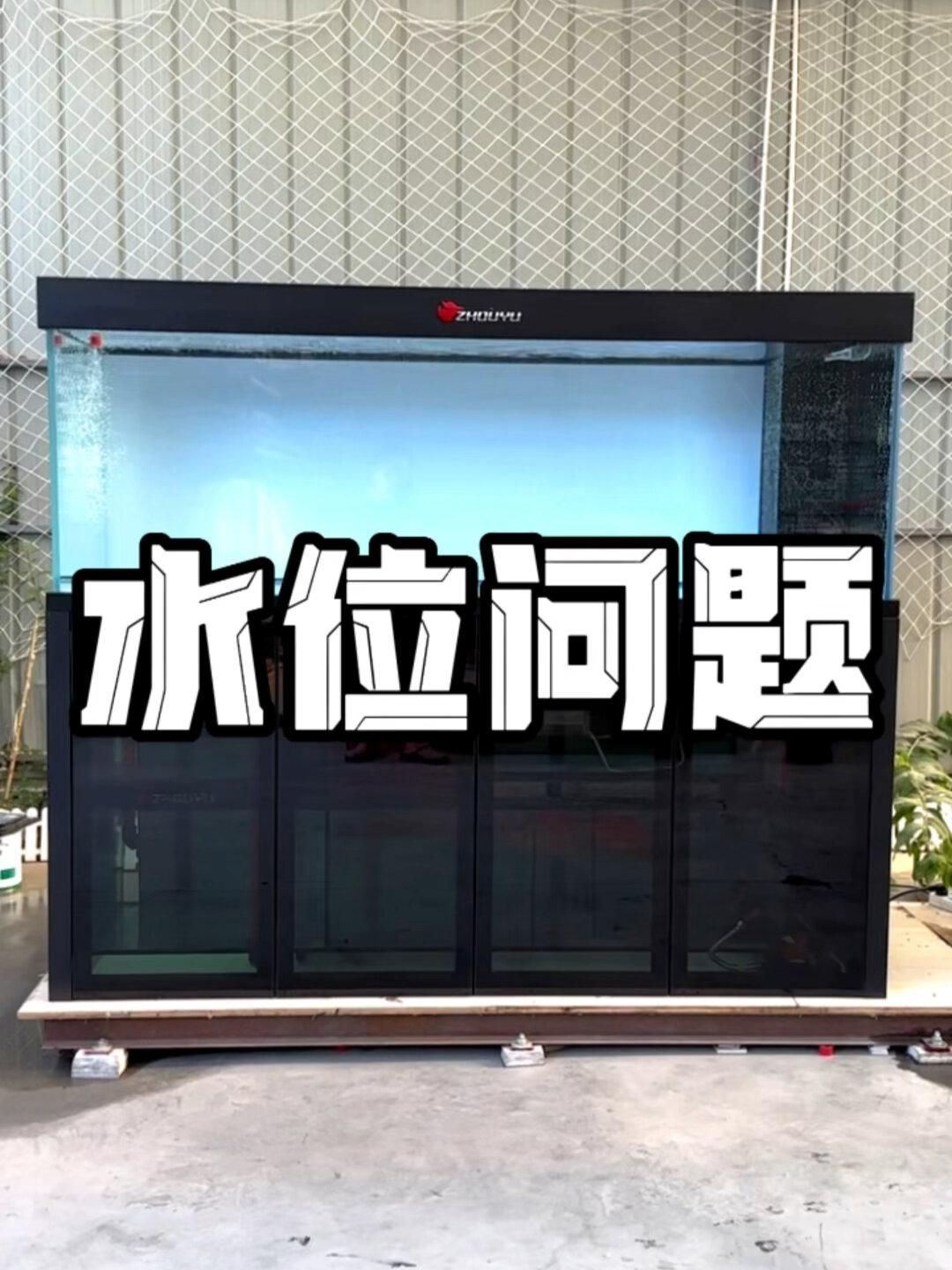 龍魚缸的長度和高度有何講究？，福臨門亞麻籽油適合哪些人群，