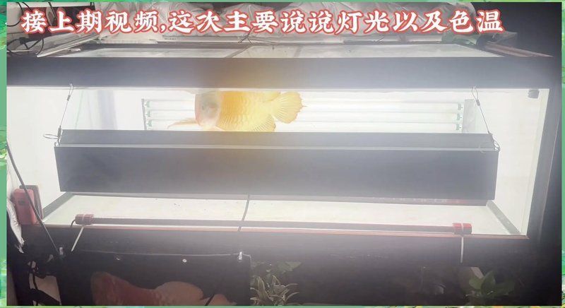 6700K和15000K哪個(gè)更養(yǎng)眼，6700k和15000k哪個(gè)更養(yǎng)眼